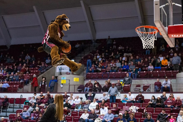 Photo from Dahlberg Arena